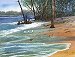 Episodes 403 & 404:  Cayo Costa